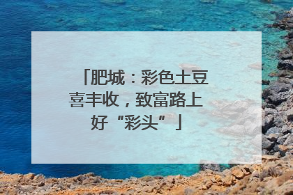 肥城：彩色土豆喜丰收，致富路上好“彩头”