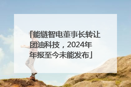 能链智电董事长转让团油科技，2024年年报至今未能发布