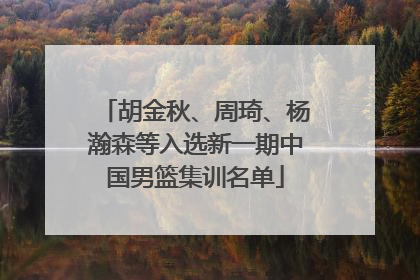 胡金秋、周琦、杨瀚森等入选新一期中国男篮集训名单