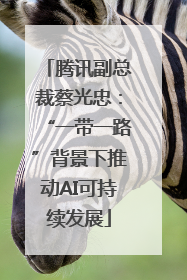 腾讯副总裁蔡光忠：“一带一路”背景下推动AI可持续发展