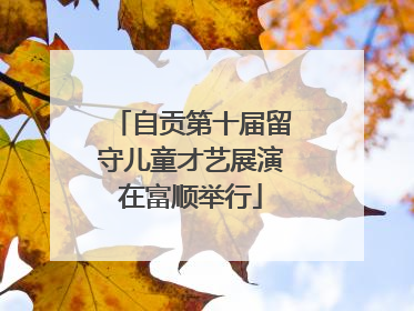 自贡第十届留守儿童才艺展演在富顺举行