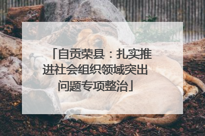 自贡荣县：扎实推进社会组织领域突出问题专项整治