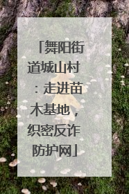 舞阳街道城山村：走进苗木基地，织密反诈防护网