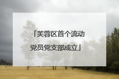 芙蓉区首个流动党员党支部成立