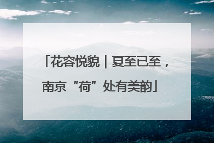 花容悦貌｜夏至已至，南京“荷”处有美韵