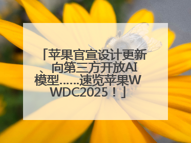 苹果官宣设计更新、向第三方开放AI模型……速览苹果WWDC2025！