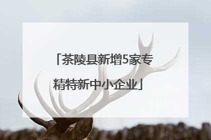茶陵县新增5家专精特新中小企业