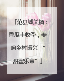 范县城关镇：香瓜丰收季，奏响乡村振兴 “甜蜜乐章”