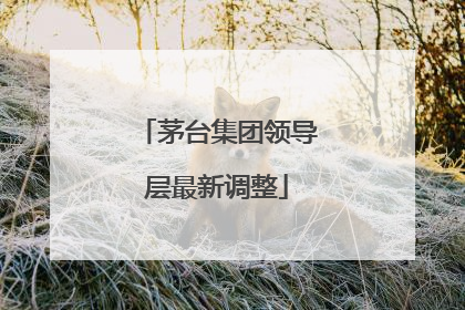 茅台集团领导层最新调整