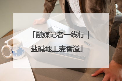 融媒记者一线行｜盐碱地上麦香溢