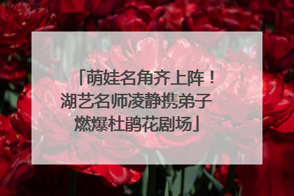 萌娃名角齐上阵！湖艺名师凌静携弟子燃爆杜鹃花剧场