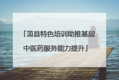萧县特色培训助推基层中医药服务能力提升