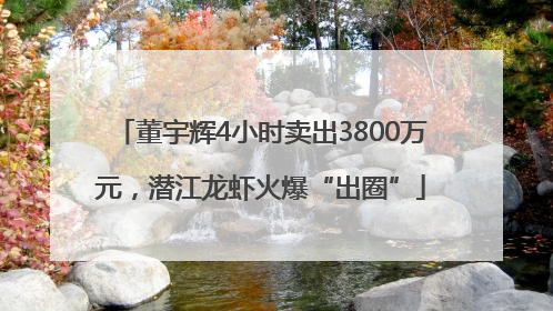 董宇辉4小时卖出3800万元，潜江龙虾火爆“出圈”