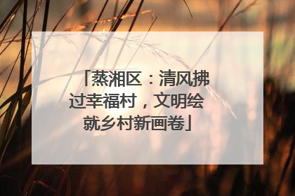 蒸湘区：清风拂过幸福村，文明绘就乡村新画卷