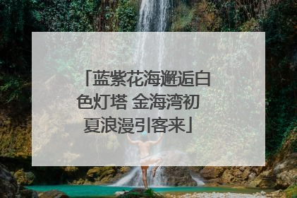 蓝紫花海邂逅白色灯塔 金海湾初夏浪漫引客来