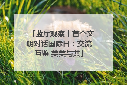 蓝厅观察丨首个文明对话国际日：交流互鉴 美美与共