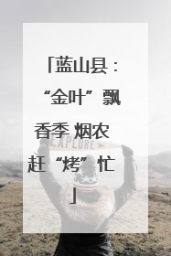 蓝山县：“金叶”飘香季 烟农赶“烤”忙