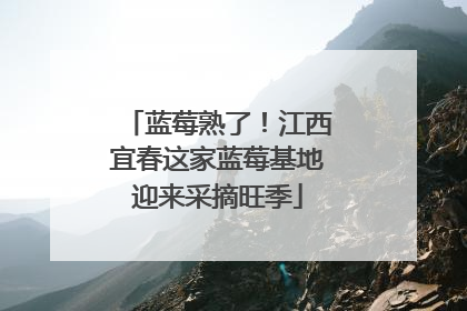蓝莓熟了！江西宜春这家蓝莓基地迎来采摘旺季