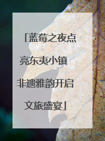 蓝莓之夜点亮东夷小镇 非遗雅韵开启文旅盛宴
