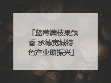 蓝莓满枝果飘香 承德宽城特色产业助振兴