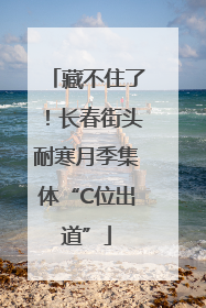 藏不住了！长春街头耐寒月季集体“C位出道”