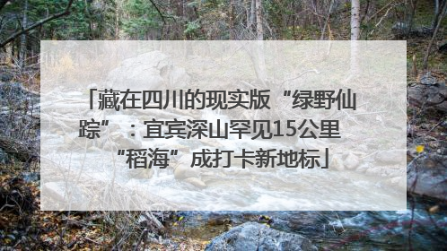 藏在四川的现实版“绿野仙踪”：宜宾深山罕见15公里“稻海”成打卡新地标