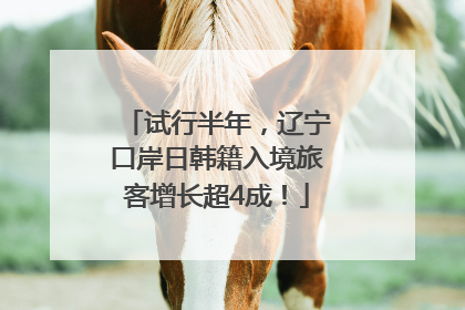 试行半年，辽宁口岸日韩籍入境旅客增长超4成！