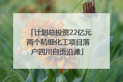 计划总投资22亿元 两个精细化工项目落户四川自贡沿滩