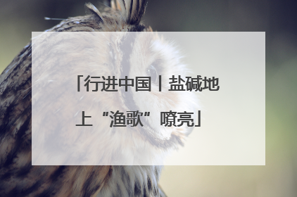 行进中国丨盐碱地上“渔歌”嘹亮