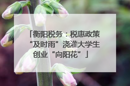 衡阳税务：税惠政策“及时雨”浇灌大学生创业“向阳花”