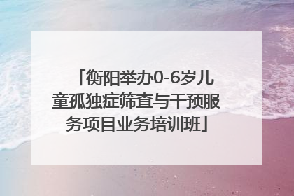 衡阳举办0-6岁儿童孤独症筛查与干预服务项目业务培训班