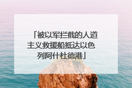被以军拦截的人道主义救援船抵达以色列阿什杜德港
