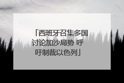西班牙召集多国讨论加沙局势 呼吁制裁以色列