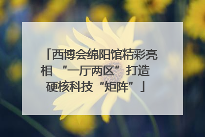 西博会绵阳馆精彩亮相 “一厅两区”打造硬核科技“矩阵”
