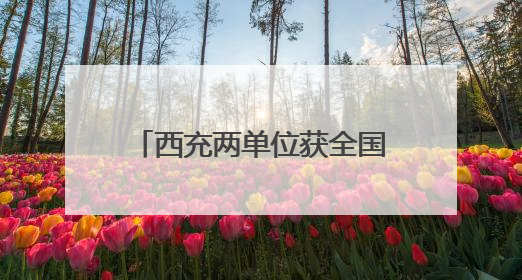 西充两单位获全国精神文明建设大奖