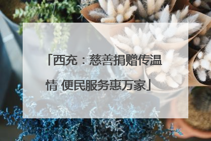 西充：慈善捐赠传温情 便民服务惠万家