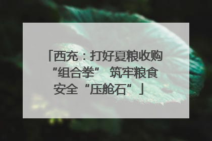 西充：打好夏粮收购“组合拳” 筑牢粮食安全“压舱石”