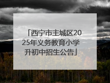 西宁市主城区2025年义务教育小学升初中招生公告