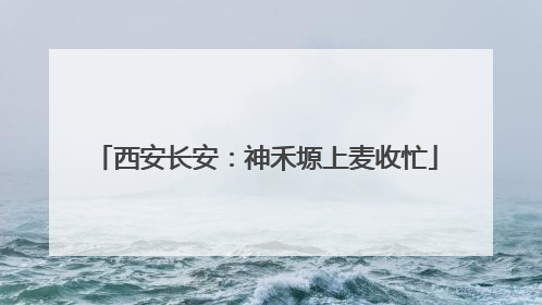 西安长安：神禾塬上麦收忙