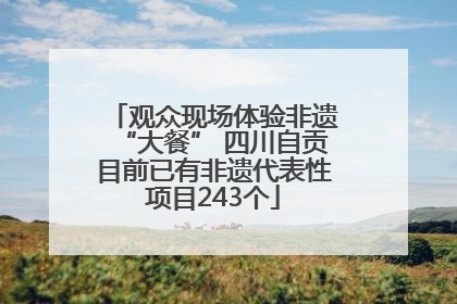 观众现场体验非遗“大餐” 四川自贡目前已有非遗代表性项目243个