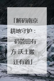 解码南京耕地守护：一码管田有方 沃土搬迁有道