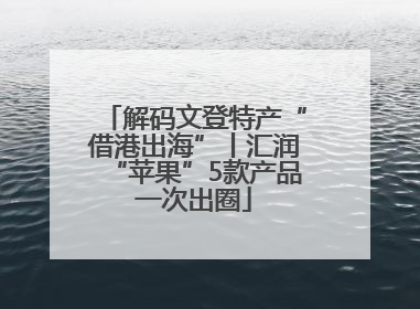 解码文登特产“借港出海”丨汇润“苹果”5款产品一次出圈