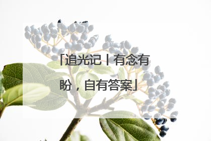 追光记丨有念有盼，自有答案