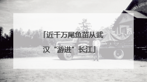 近千万尾鱼苗从武汉“游进”长江