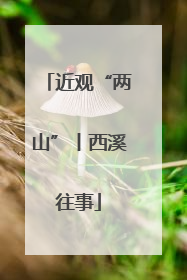 近观“两山”丨西溪往事