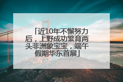 近10年不懈努力后，上野成功繁育两头非洲象宝宝，端午假期华东首展
