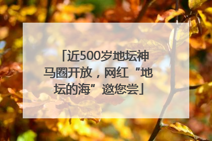 近500岁地坛神马圈开放，网红“地坛的海”邀您尝