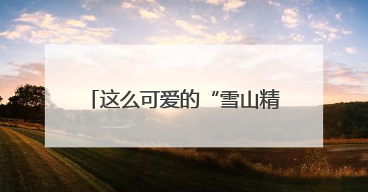 这么可爱的“雪山精灵”，当然是要好好守护啦——有一种叫云南的生活之365天