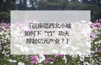 这座赣西北小城如何下“竹”功夫撑起亿元产业？