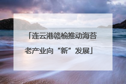 连云港赣榆推动海苔老产业向“新”发展